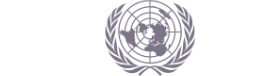 United Nations Logo